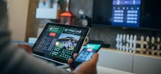 Understanding the Excitement of 56w bet