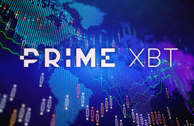 Comprehensive Insight into the PrimeXBT Cryptocurrency Trading Platform